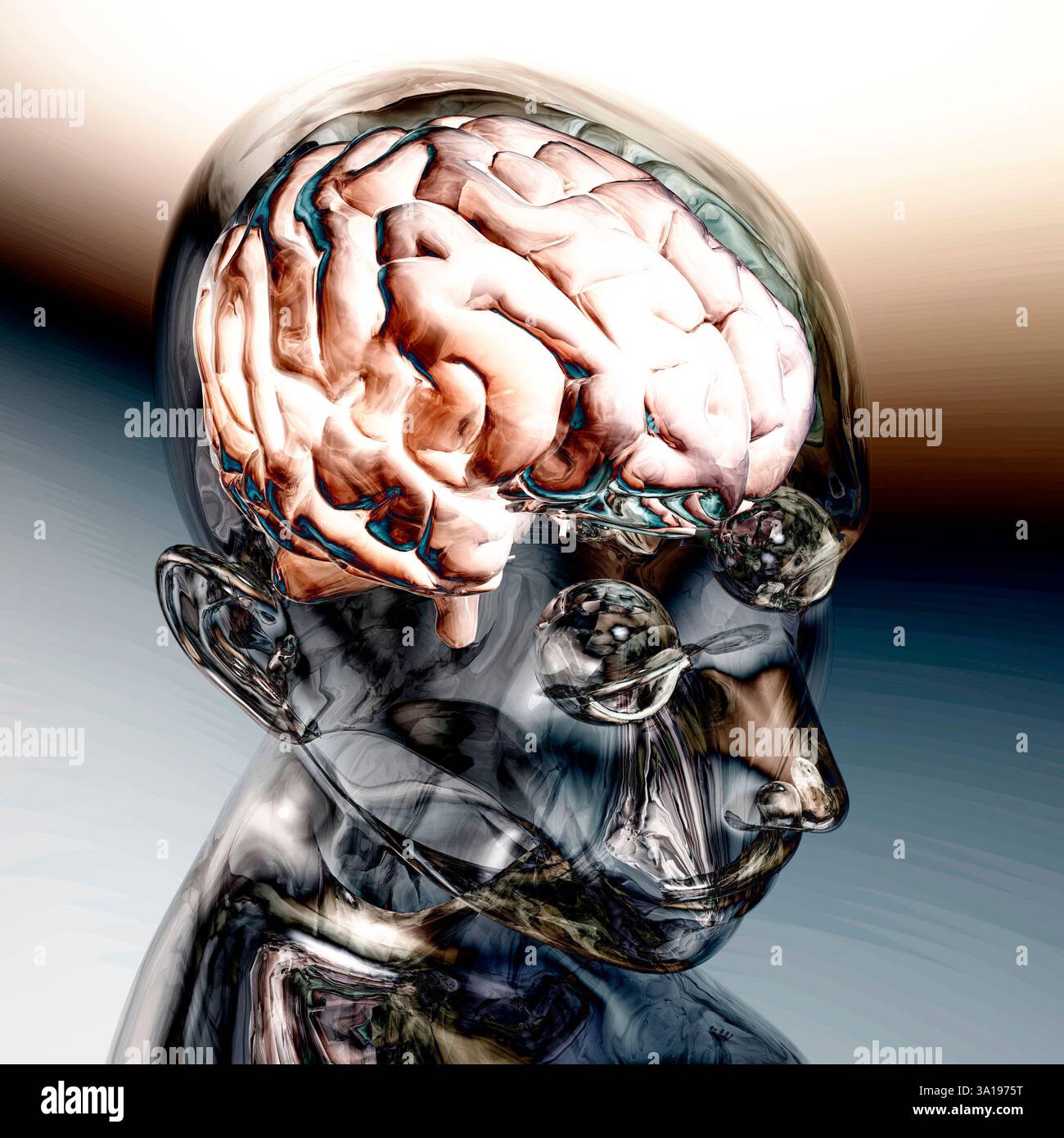 Digital Visualization of a Human Brain Stock Photo - Alamy