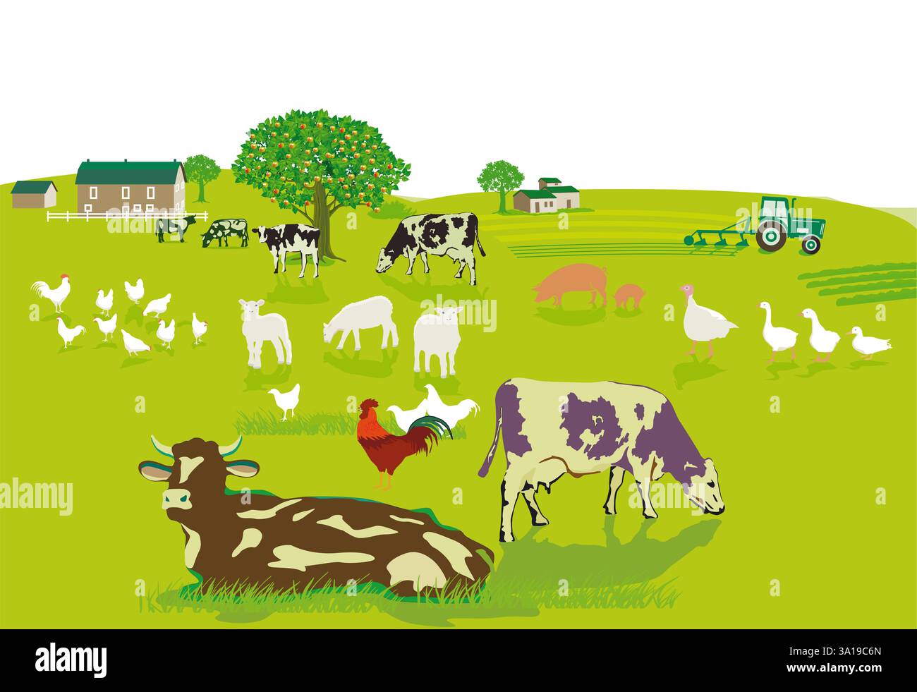 Farm and agriculture with animals, illustration Stock Photo - Alamy