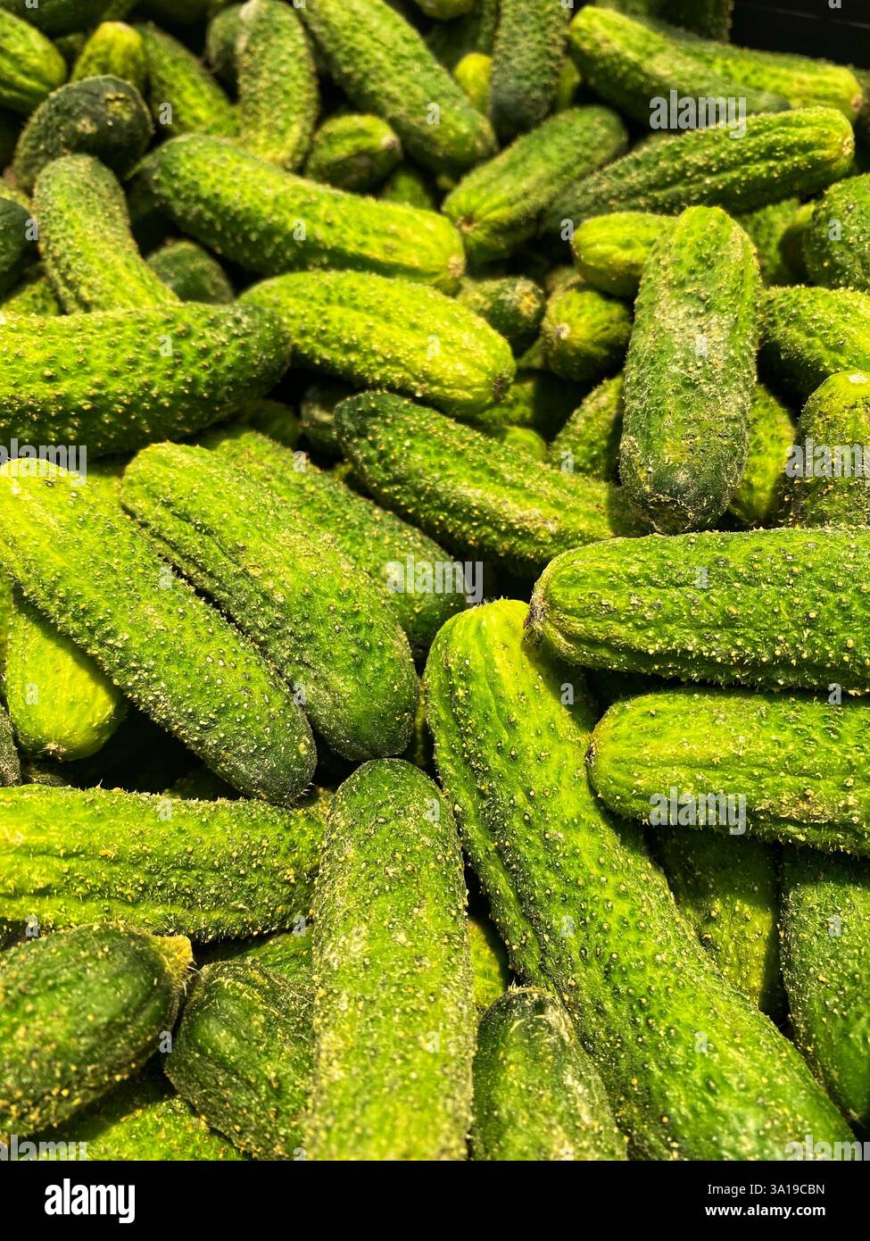 Cornichons - Smartphone Captured Stock Image