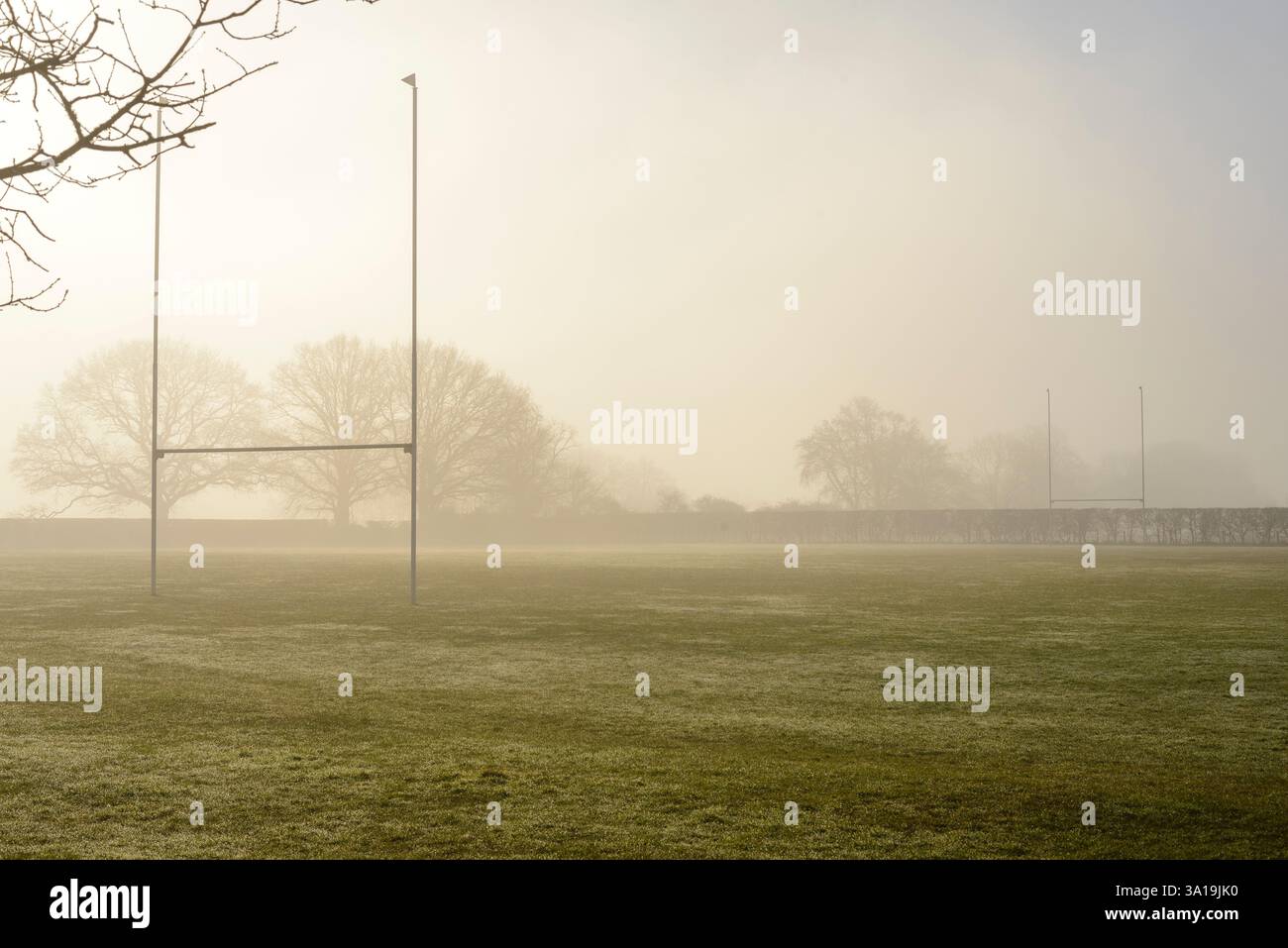 Pitch in hi-res stock photography and images - Alamy