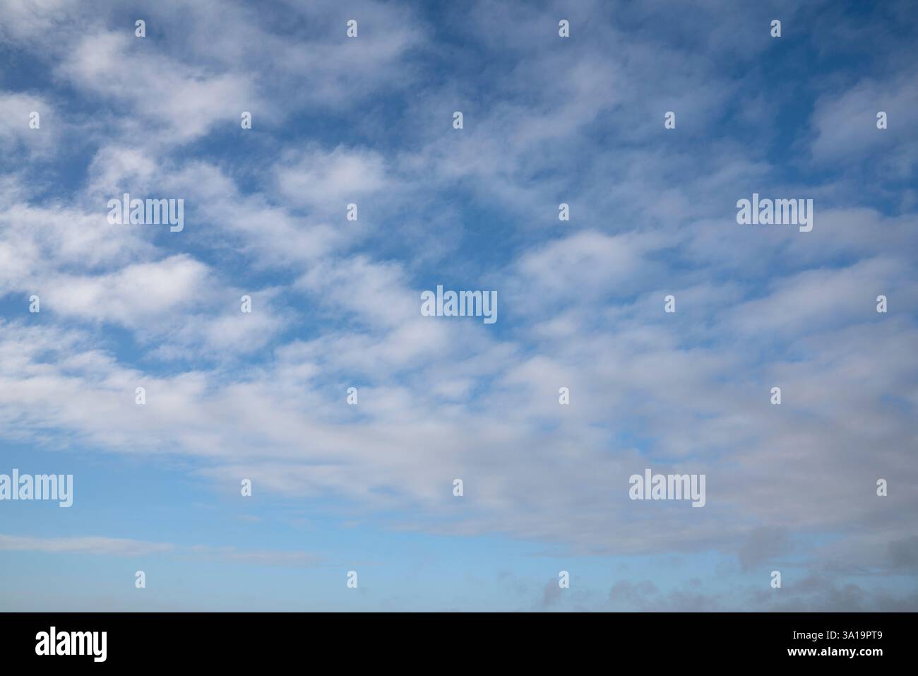 View to sky with fleecy clouds Stock Photo