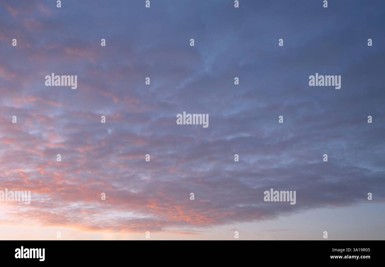 Evening sky with pastel-colored clouds Stock Photo