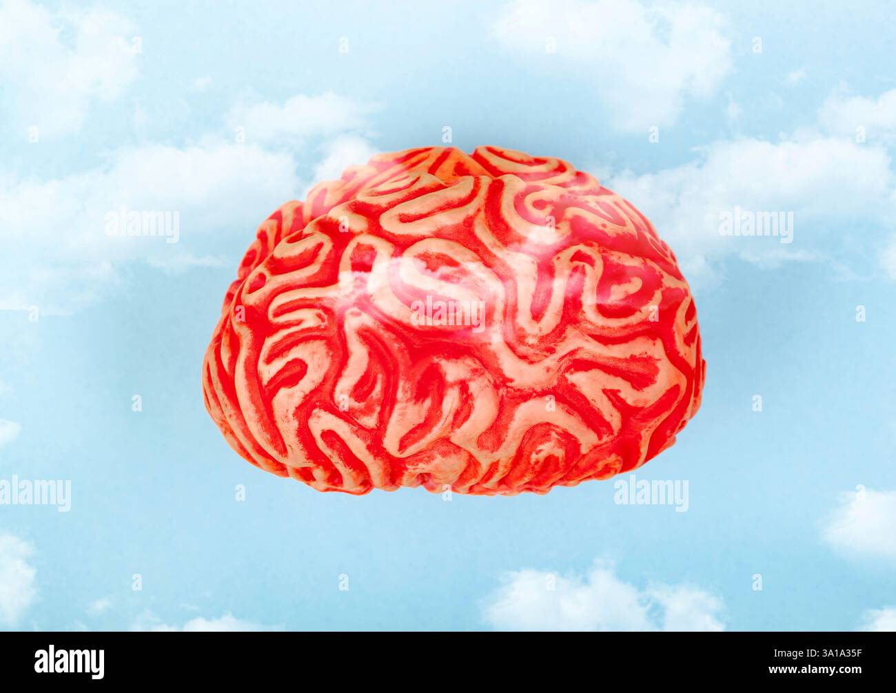 Brain in the clouds in the blue sky. Concept of head in the clouds. Stock Photo