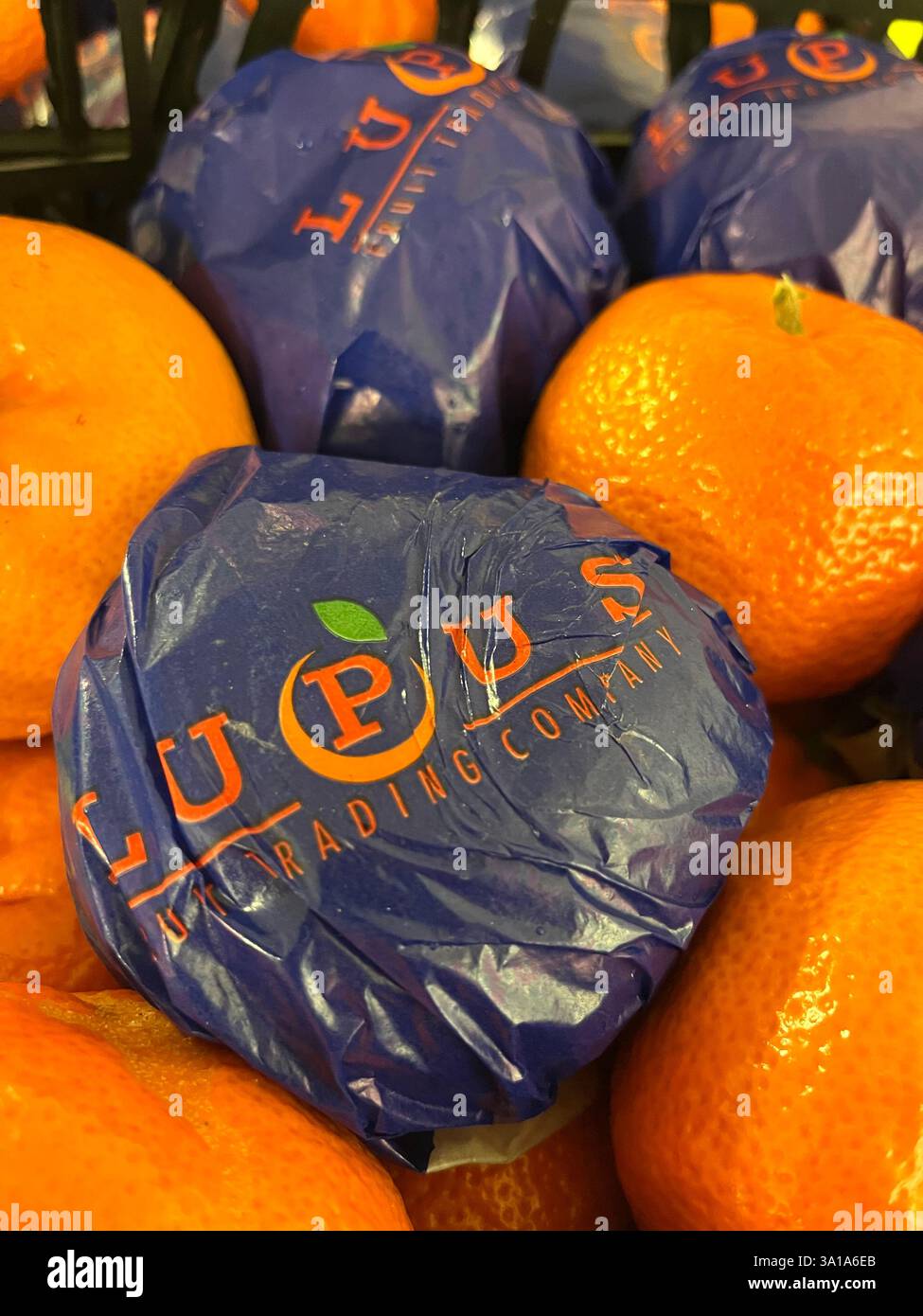 mandarin oranges, citrus fruits, Lupus, fruits, warehouse, storage, produce, agriculture, food supply, vegetable storage, distribution, supply chain - Smartphone Captured Stock Image