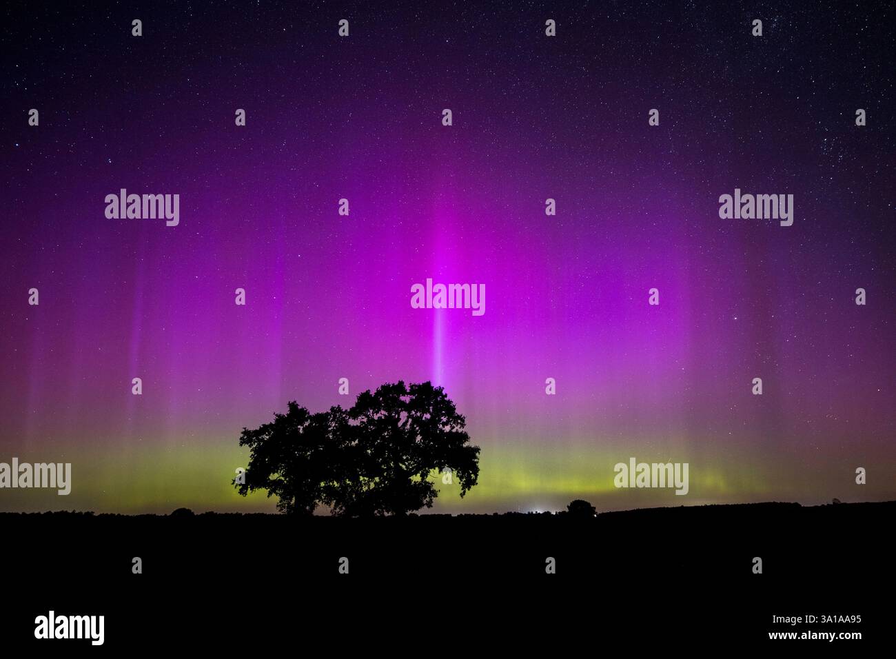 Northern lights shining over green hi-res stock photography and images ...