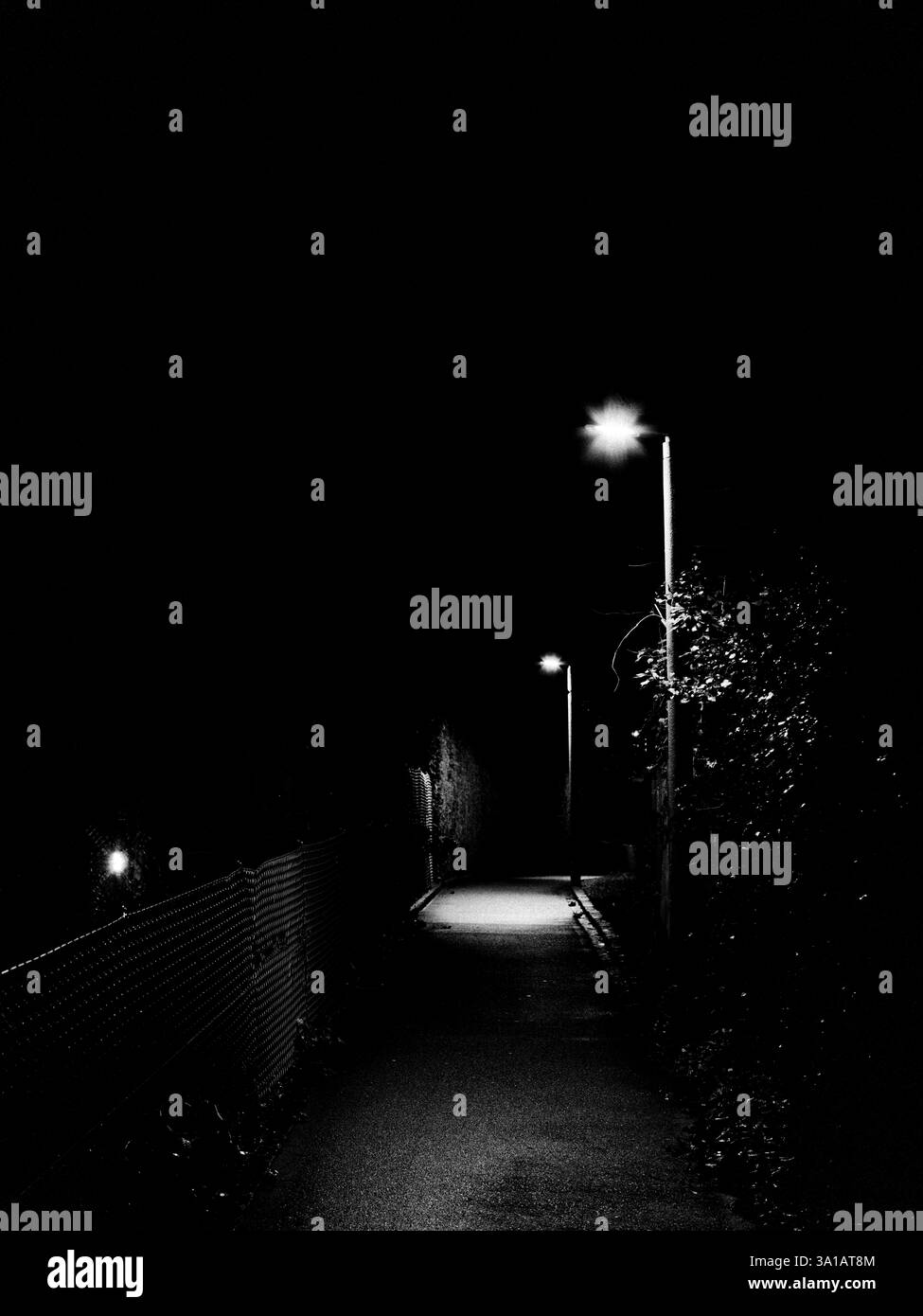 Path and streetlights at night, black and white Stock Photo - Alamy