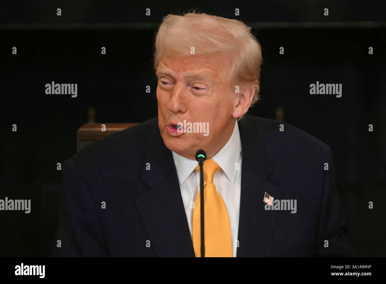 President Donald Trump speaks during a the White House Crypto Summit in  Washington, Friday, March 7, 2025. (Pool via AP Stock Photo - Alamy