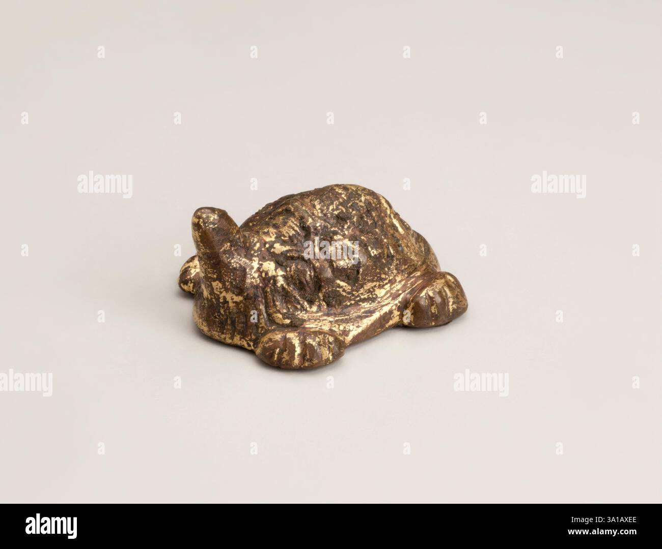Turtle, 618-906. Stock Photo