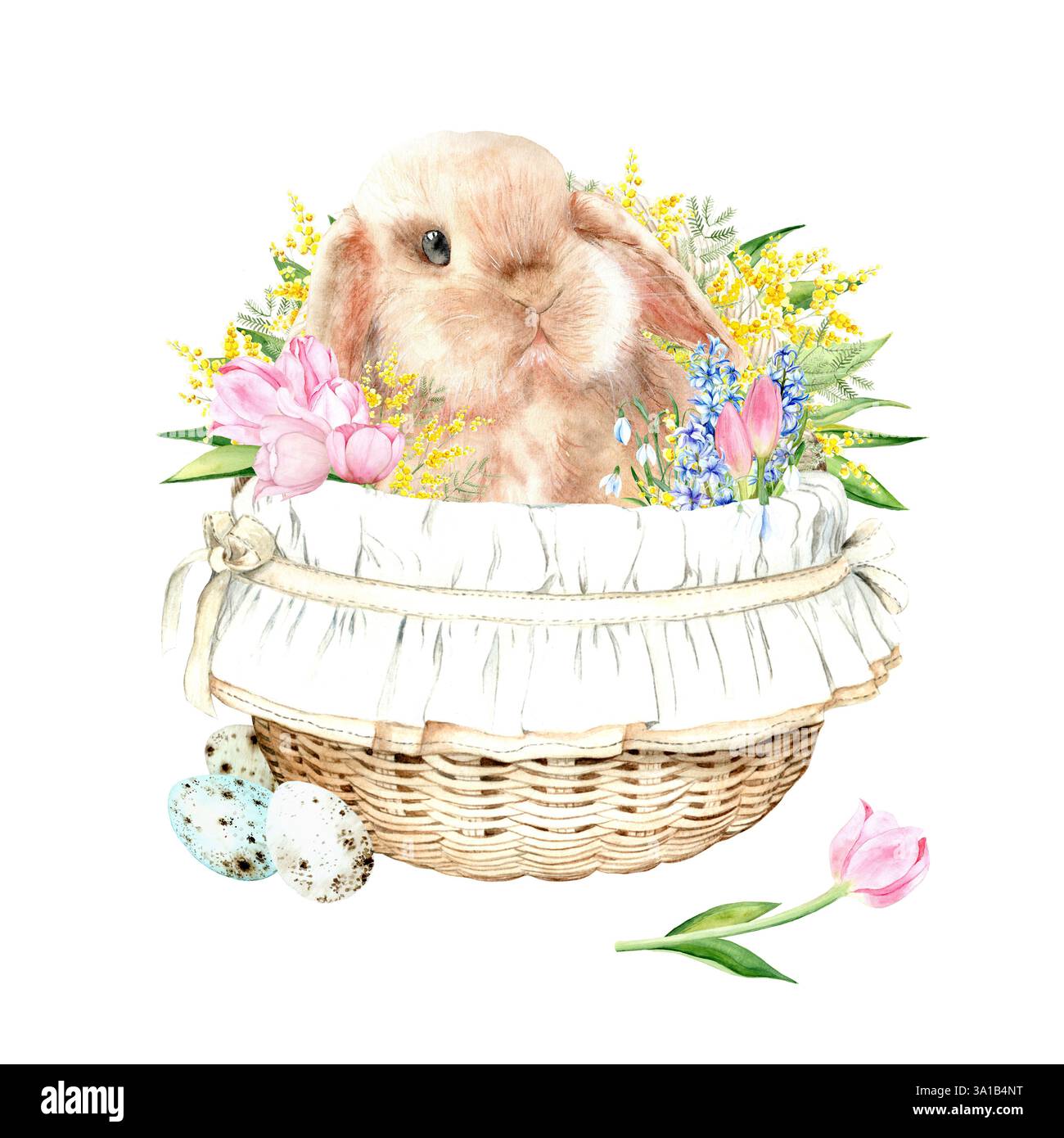 Red fluffy rabbit in a basket with tulips, mimosa and quail eggs on ...