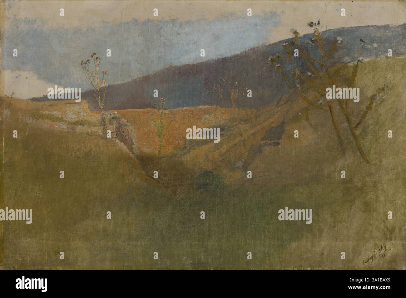 1878 1880 hi-res stock photography and images - Alamy