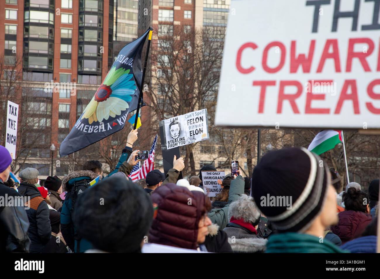 People protesting Donald Trump and Elon Musk at the Boston Commons in ...