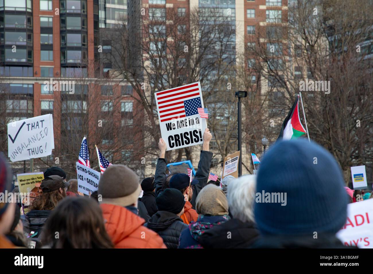 People protesting Donald Trump and Elon Musk at the Boston Commons in ...