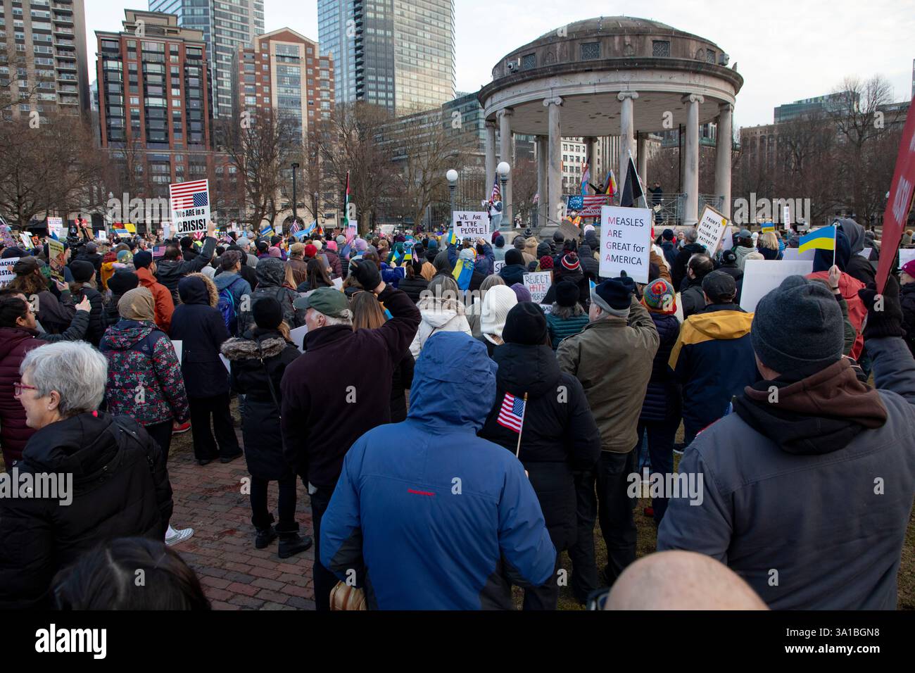 People protesting Donald Trump and Elon Musk at the Boston Commons in ...