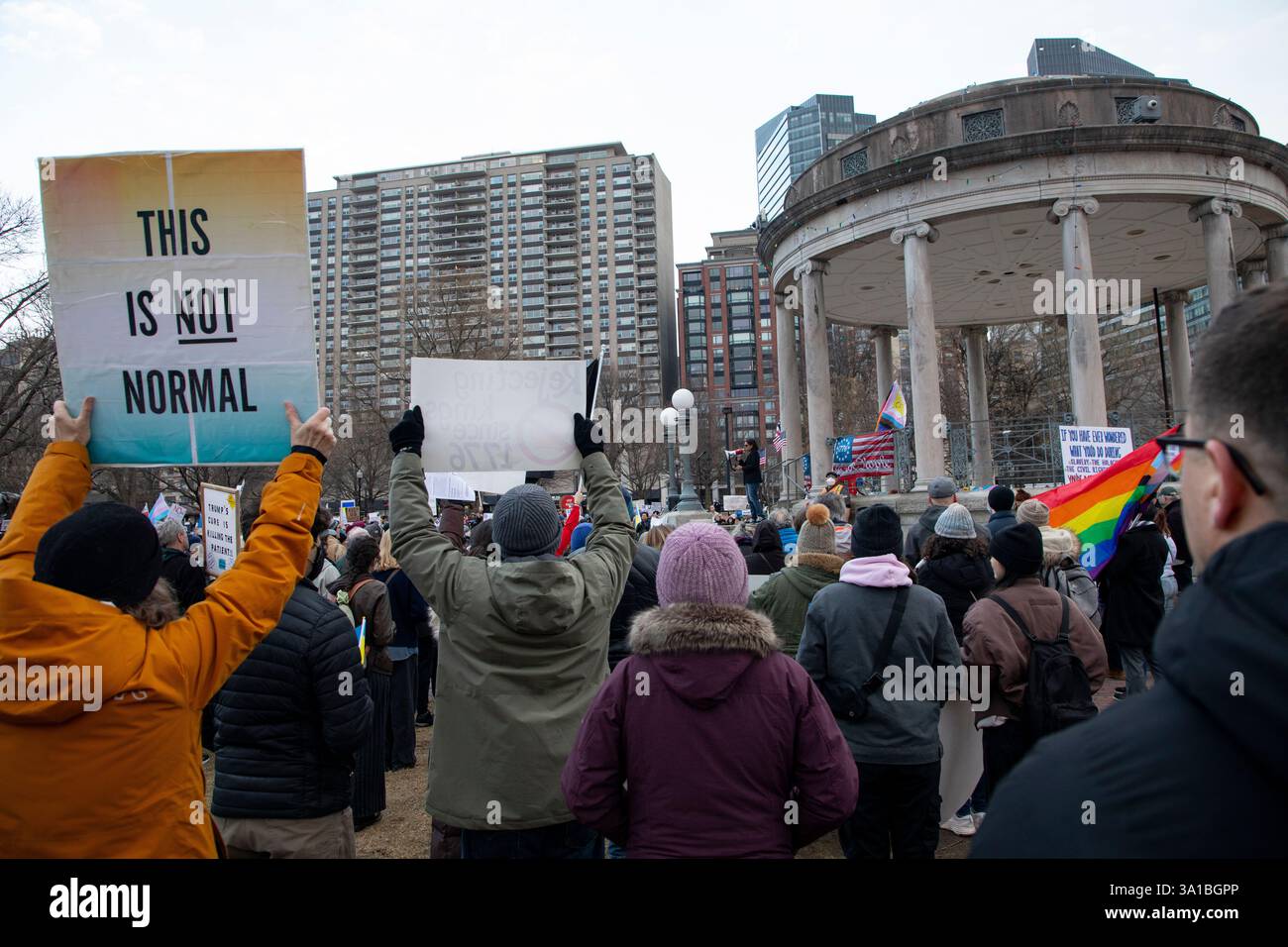 People protesting Donald Trump and Elon Musk at the Boston Commons in ...