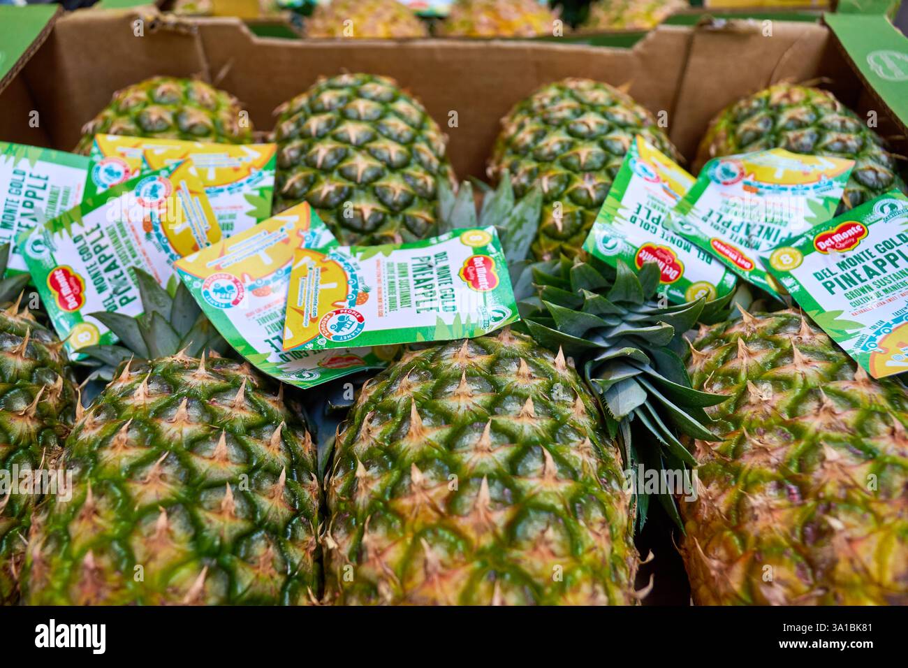 Augsburg, Bavaria, Germany - March 7, 2025: Several pineapples lie in a crate with labels on them. The tropical fruits have a green skin with leaves and are ready for sale *** Mehrere Ananas liegen in einer Kiste mit Etiketten versehen. Die tropischen Früchte haben eine grüne Schale mit Blättern und sind für den Verkauf bereit Stock Photo