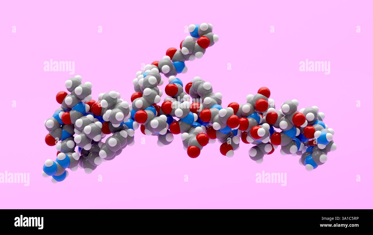 synthetic semaglutide Illustration of a semaglutide molecule, which is a synthetic glucagon-like  peptide-1 (GLP-1) receptor agonist. Semaglutide is commonly prescribed for  the treatment of type 2 diabetes, as it helps to regulate blood sugar