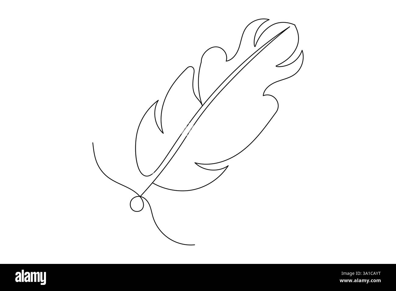 Bird feather Continuous one line art drawing and black white of ...