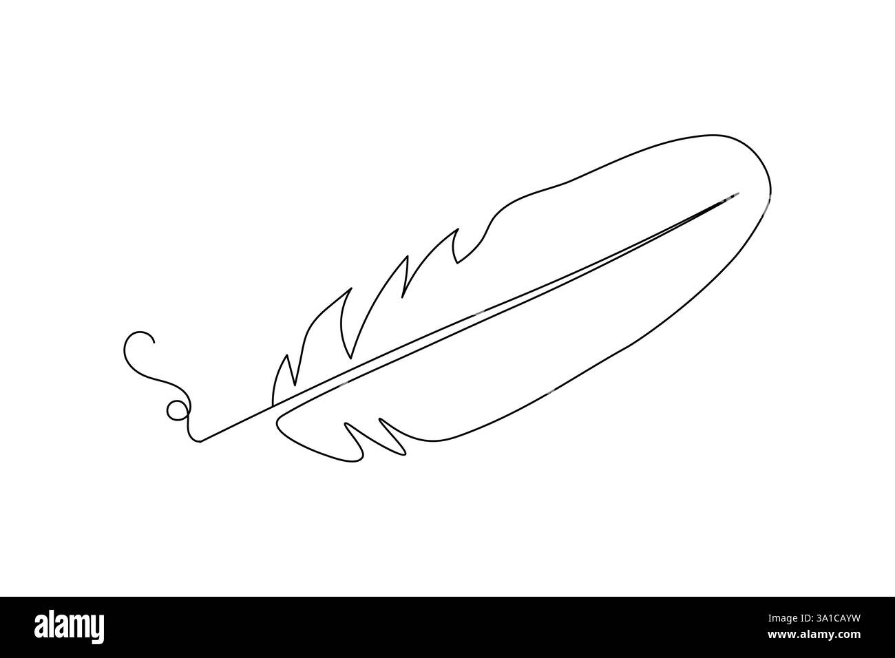 Bird feather Continuous one line art drawing and black white of ...
