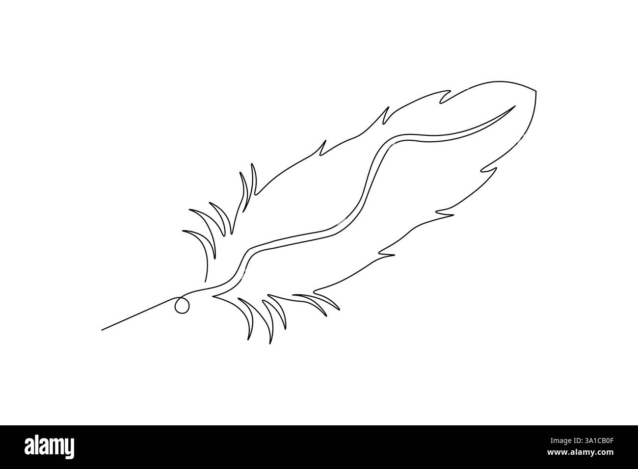 Bird feather Continuous one line art drawing and black white of ...