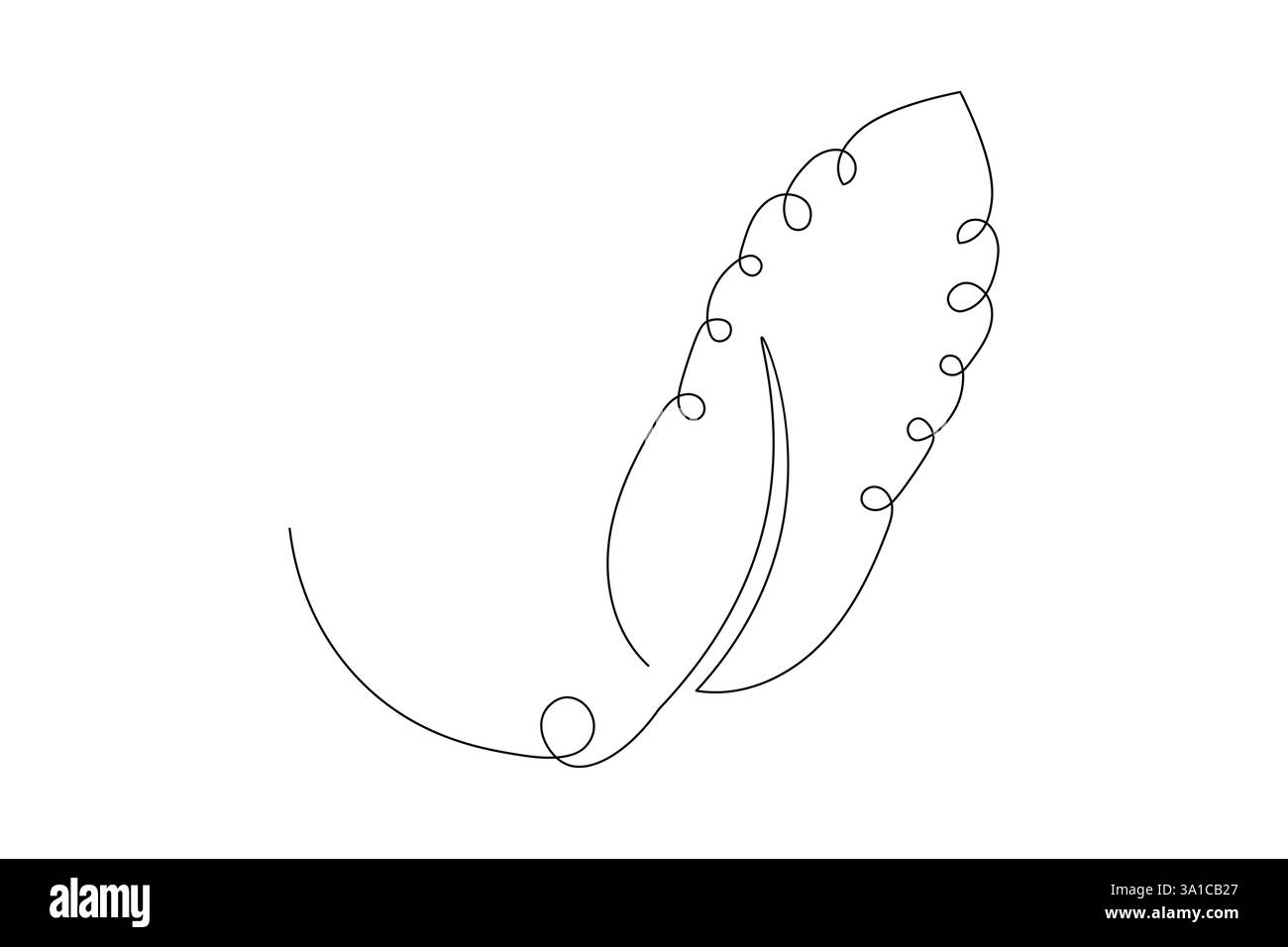 Bird feather Continuous one line art drawing and black white of ...