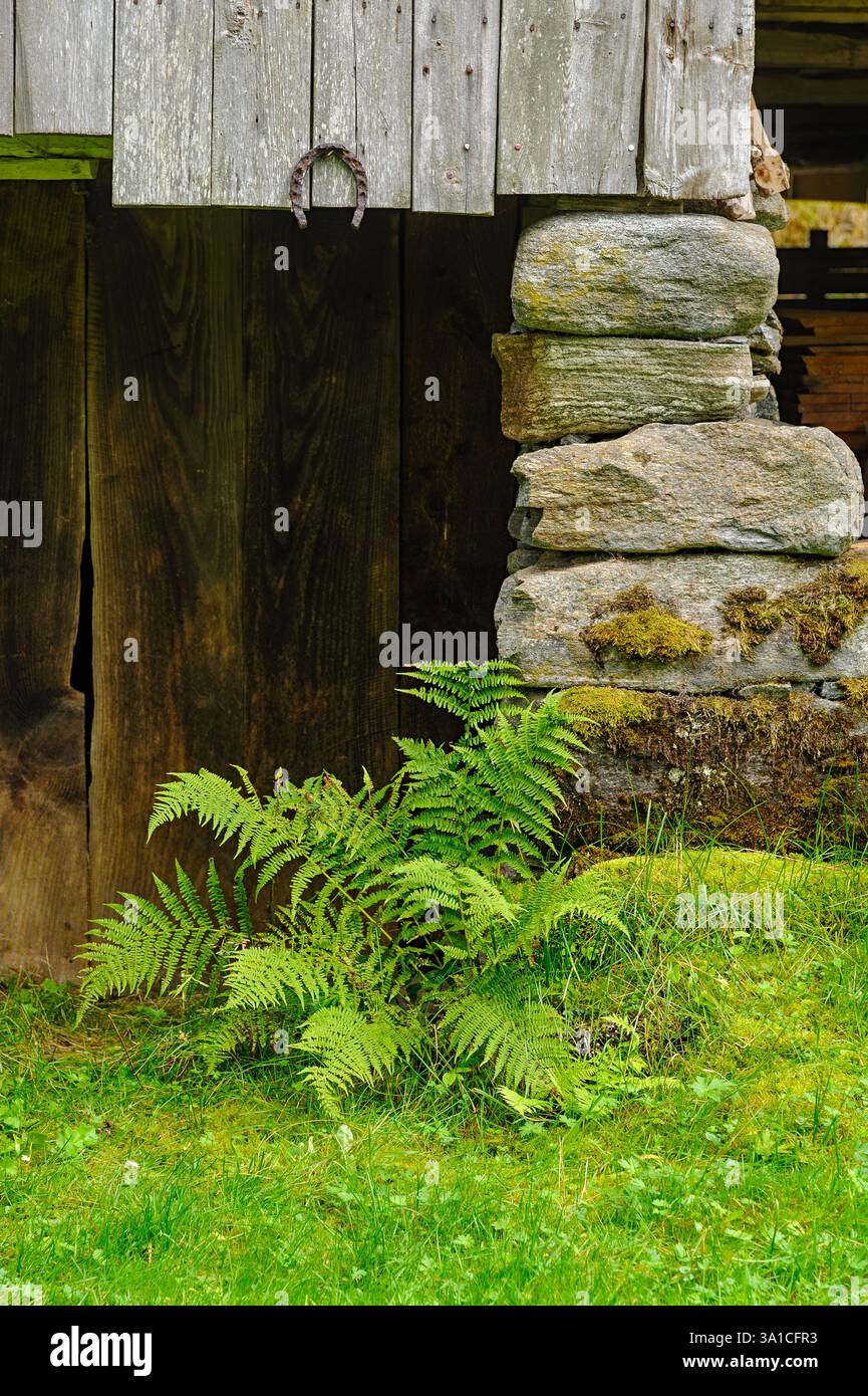 Natures architecture hi-res stock photography and images - Alamy