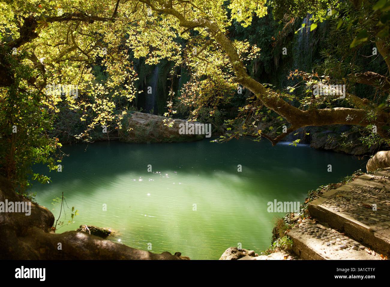 Overhanging tree branch hi-res stock photography and images - Alamy