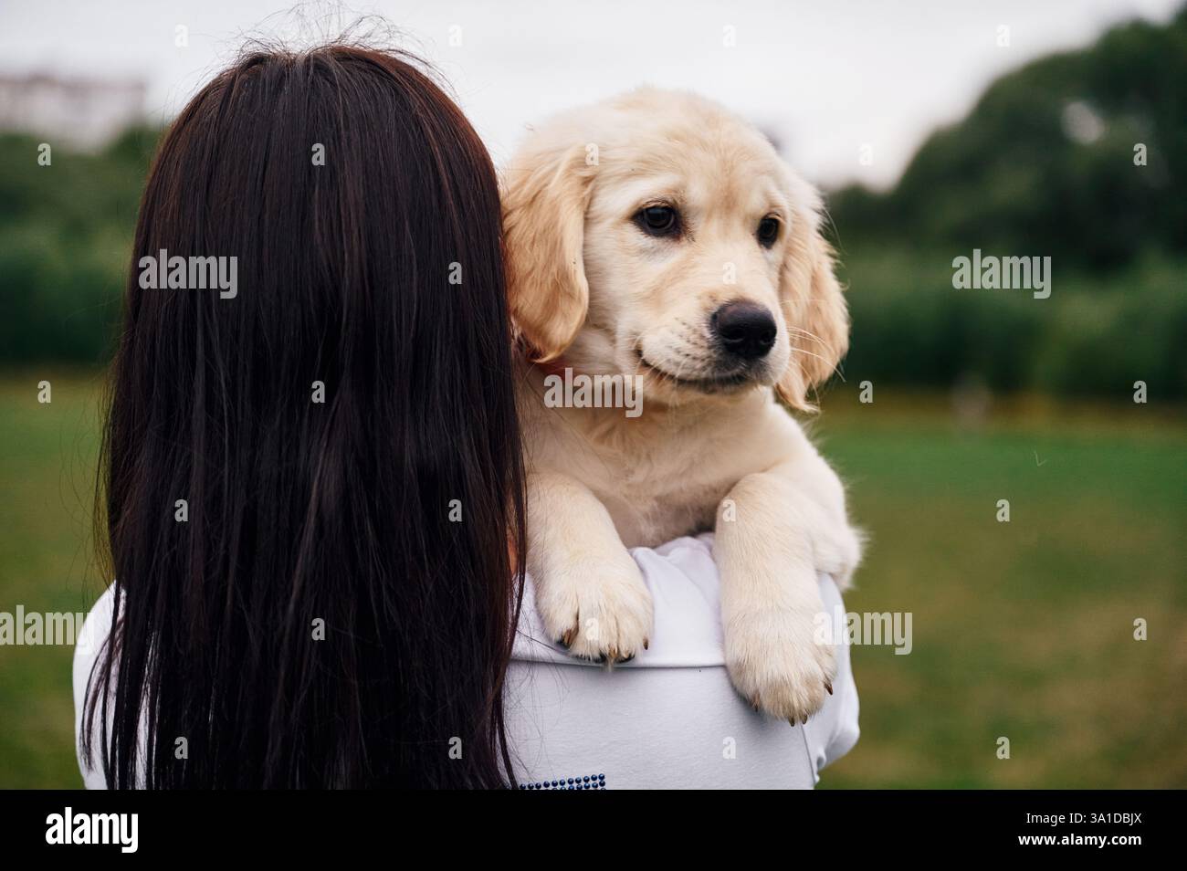 Dog rear view white background hi-res stock photography and images - Page 3  - Alamy, image size:1300x954