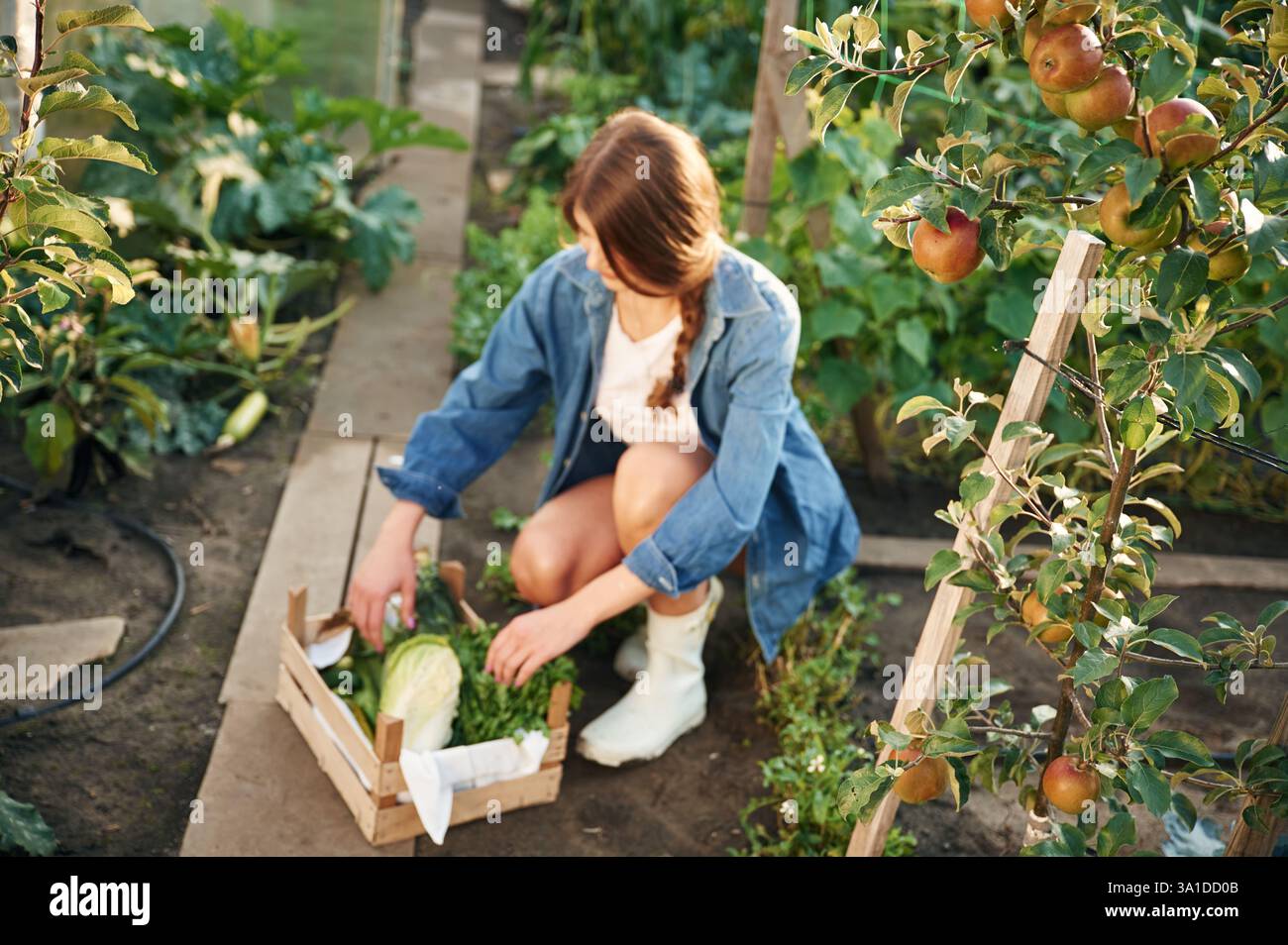 Beautiful young woman gardening hi-res stock photography and images - Alamy