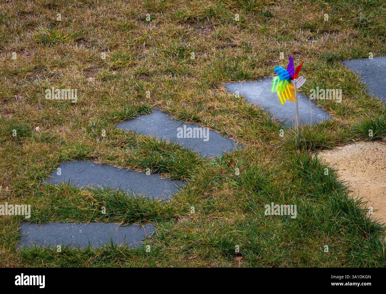 Organic visual rhythm hi-res stock photography and images - Alamy