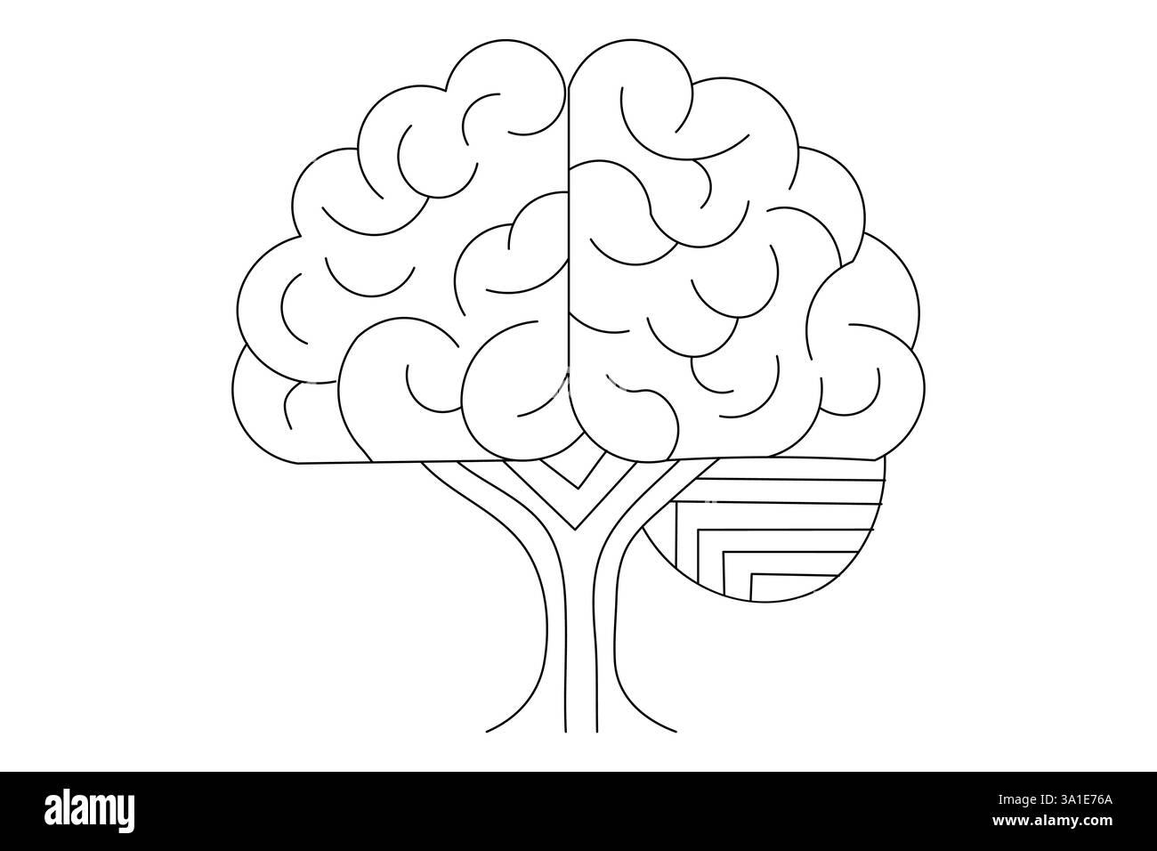 One Fourth Brain Drawing Human brain Continuous one line drawing of line art and vector ...