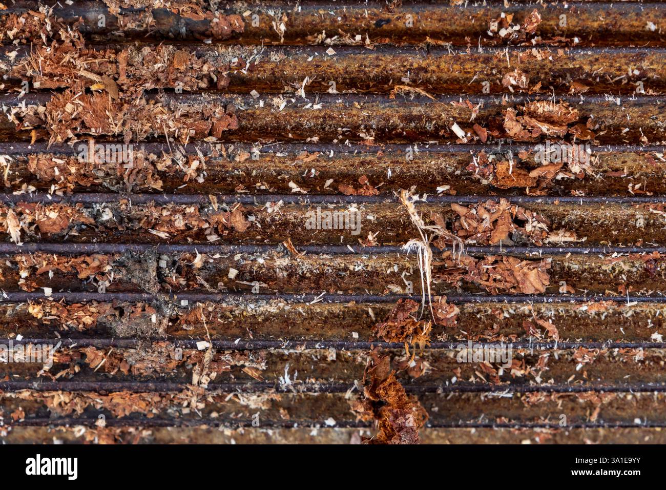 Close-up of a small, densely toothed gearwheel covered in sawdust, tree bark pieces, and dirt Stock Photo