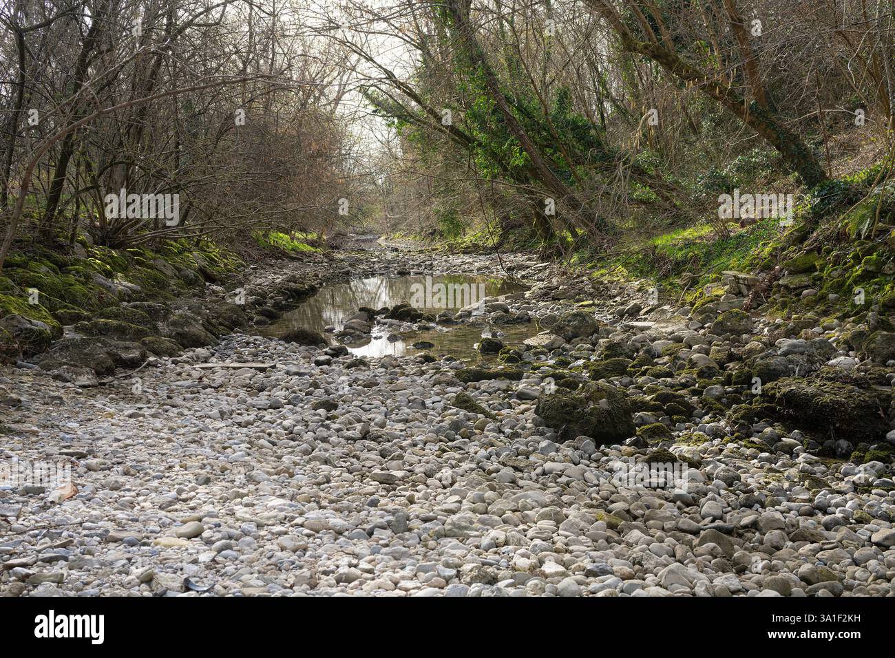 the bed of a small dry stream in a park in winter Stock Photo - Alamy