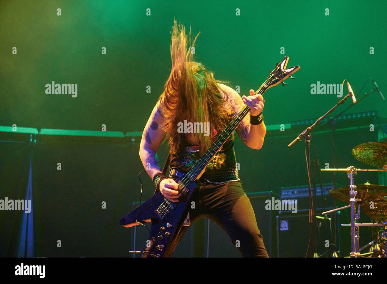 los-electrikeel-during-their-concert-at-the-kingdom-of-rock-festival