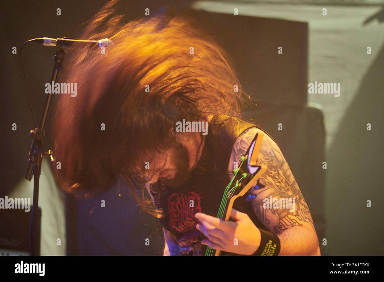 los-electrikeel-during-their-concert-at-the-kingdom-of-rock-festival