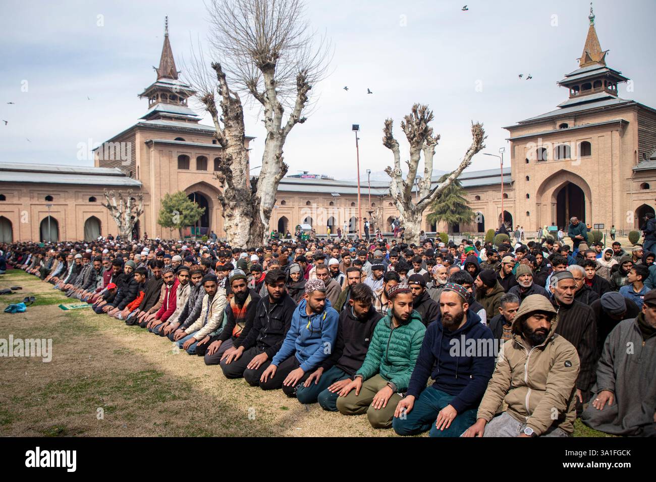 kashmir holi places