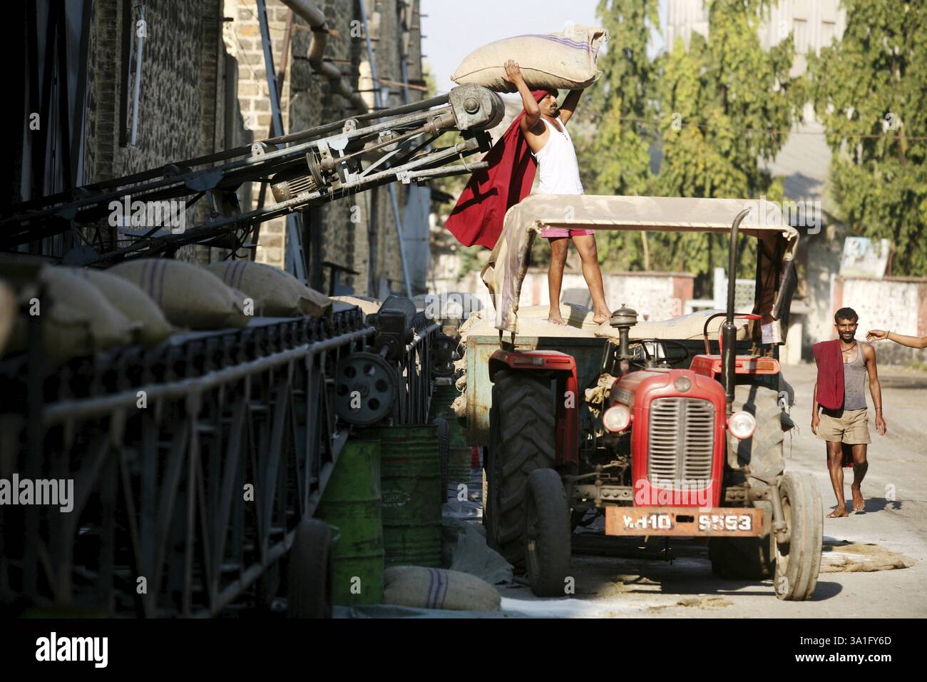 A worker loading the jute bags containing sugar in the trolley of ...