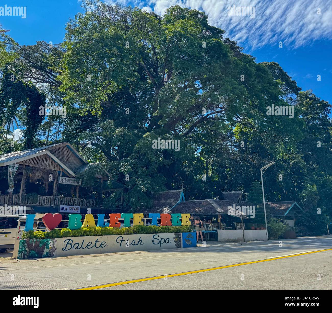 Ancient Balete Tree and Fish Spa tourist attraction in the Philippines ...