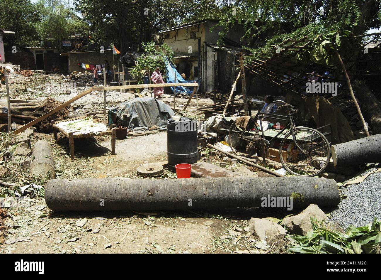Trees cut by a builder to pave way for building construction in Bombay now Mumbai, Maharashtra, India, Asia Stock Photo
