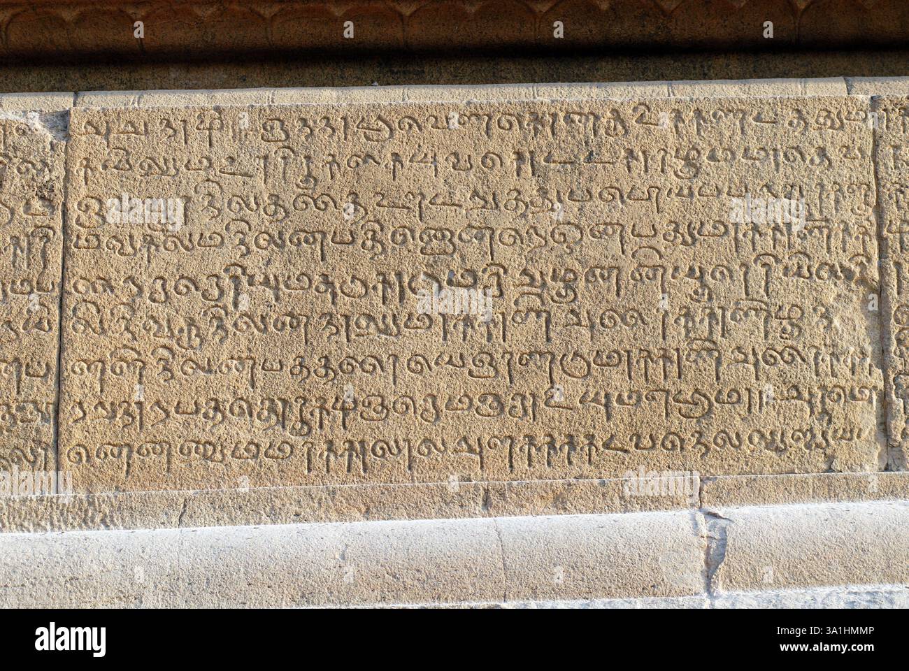 Tamil Palaeography, Epigraphy, and Manuscriptology