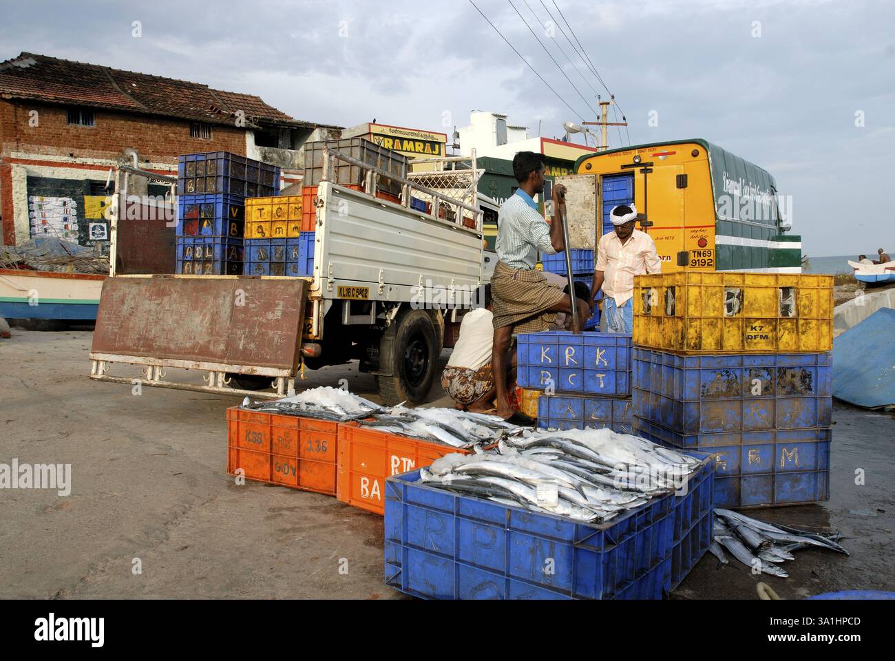 Fresh fish containers are ready for export, Kanyakumari port, Tamil ...