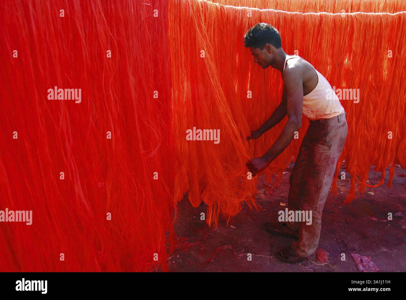 Labours separate silky threads for making silky garlands Stock Photo ...