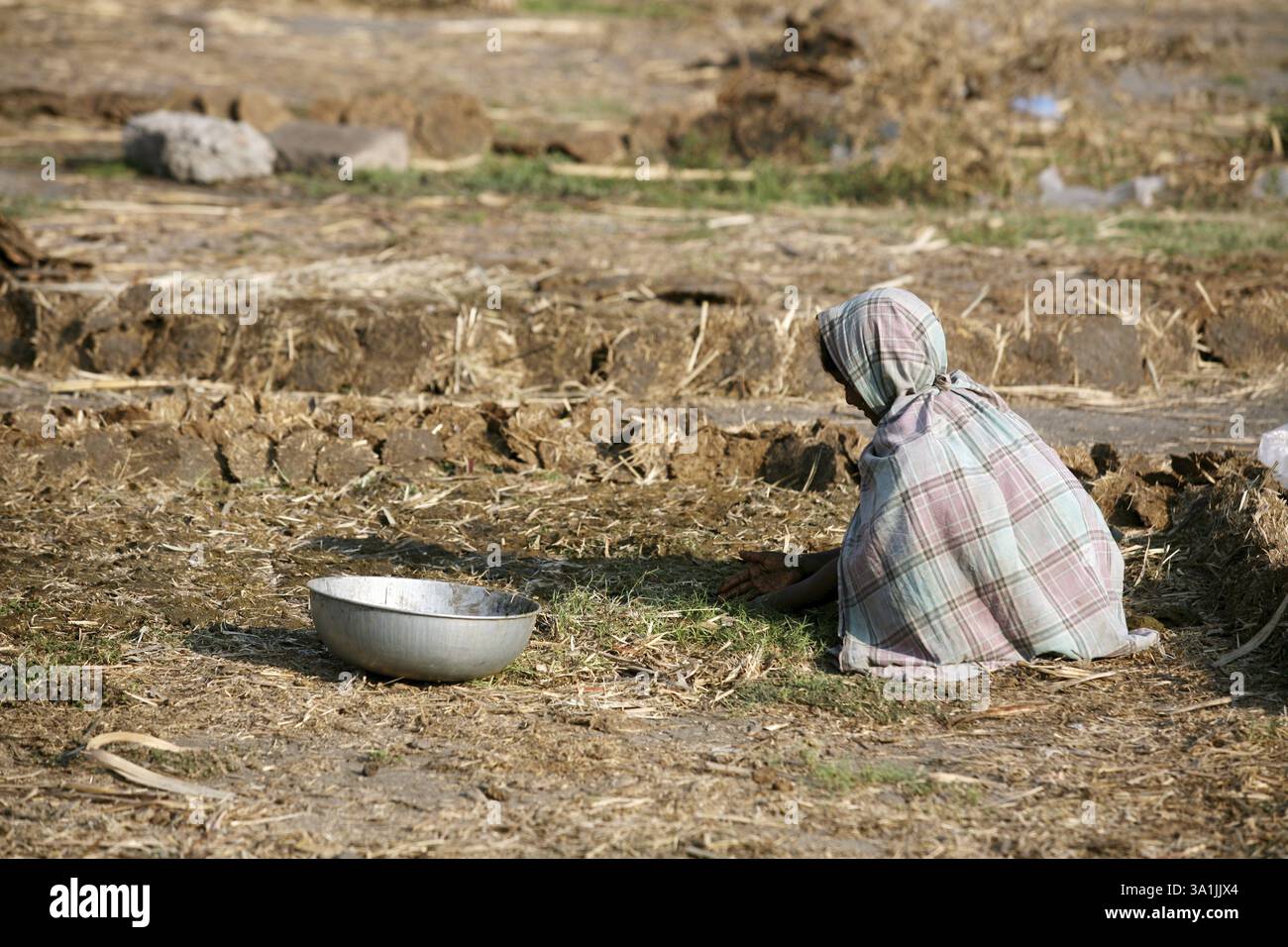 Girl with cow dung hi-res stock photography and images - Alamy