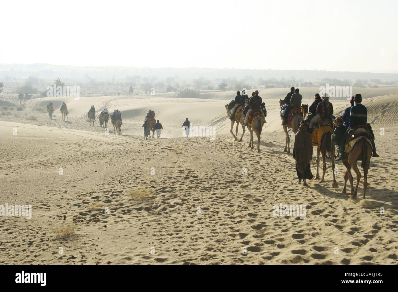 Camel ride at Sam Thar desert safari sand dunes, Jaisalmer, Rajasthan ...