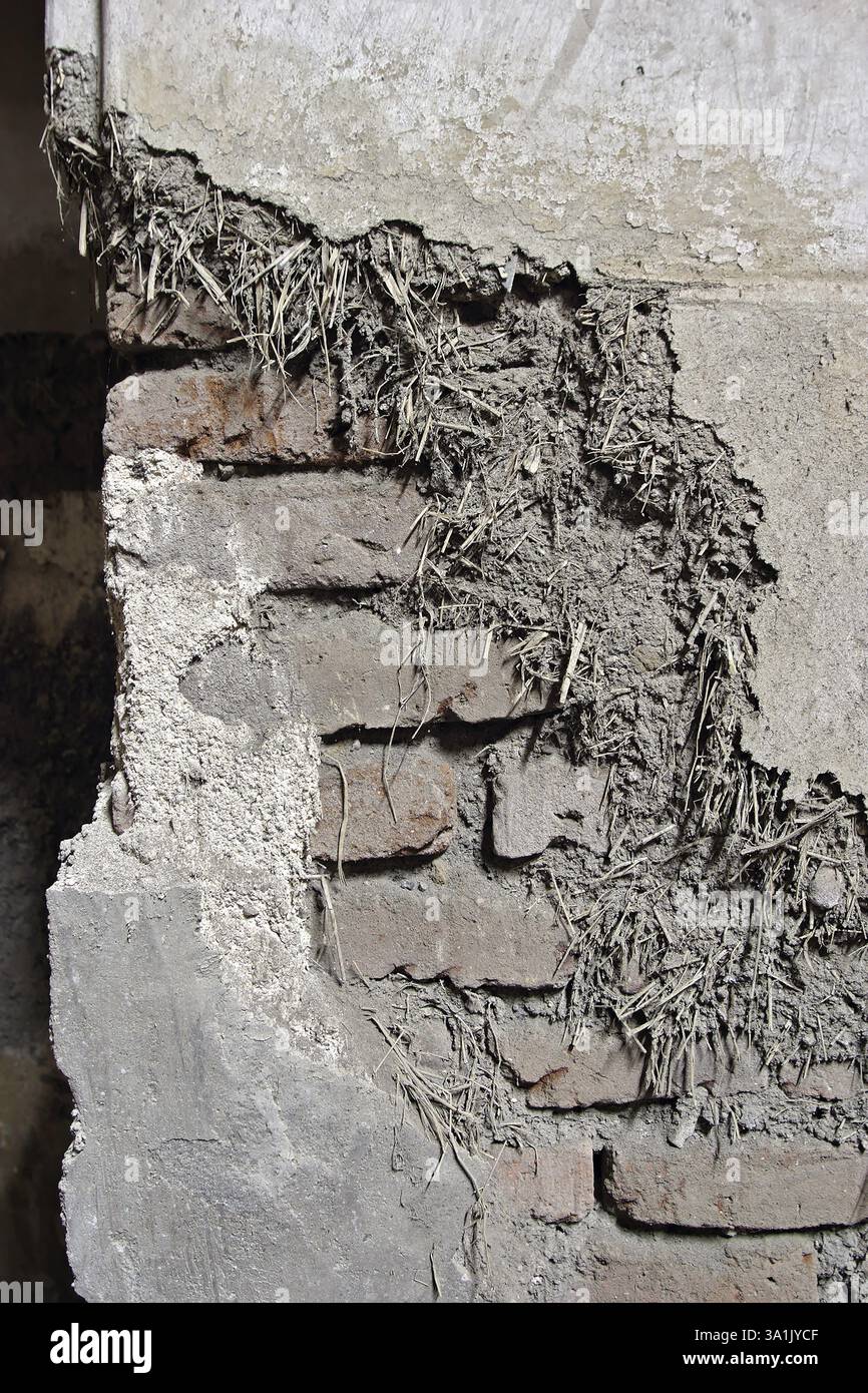 Details of material being used for plastering walls, nana phadnavis ...