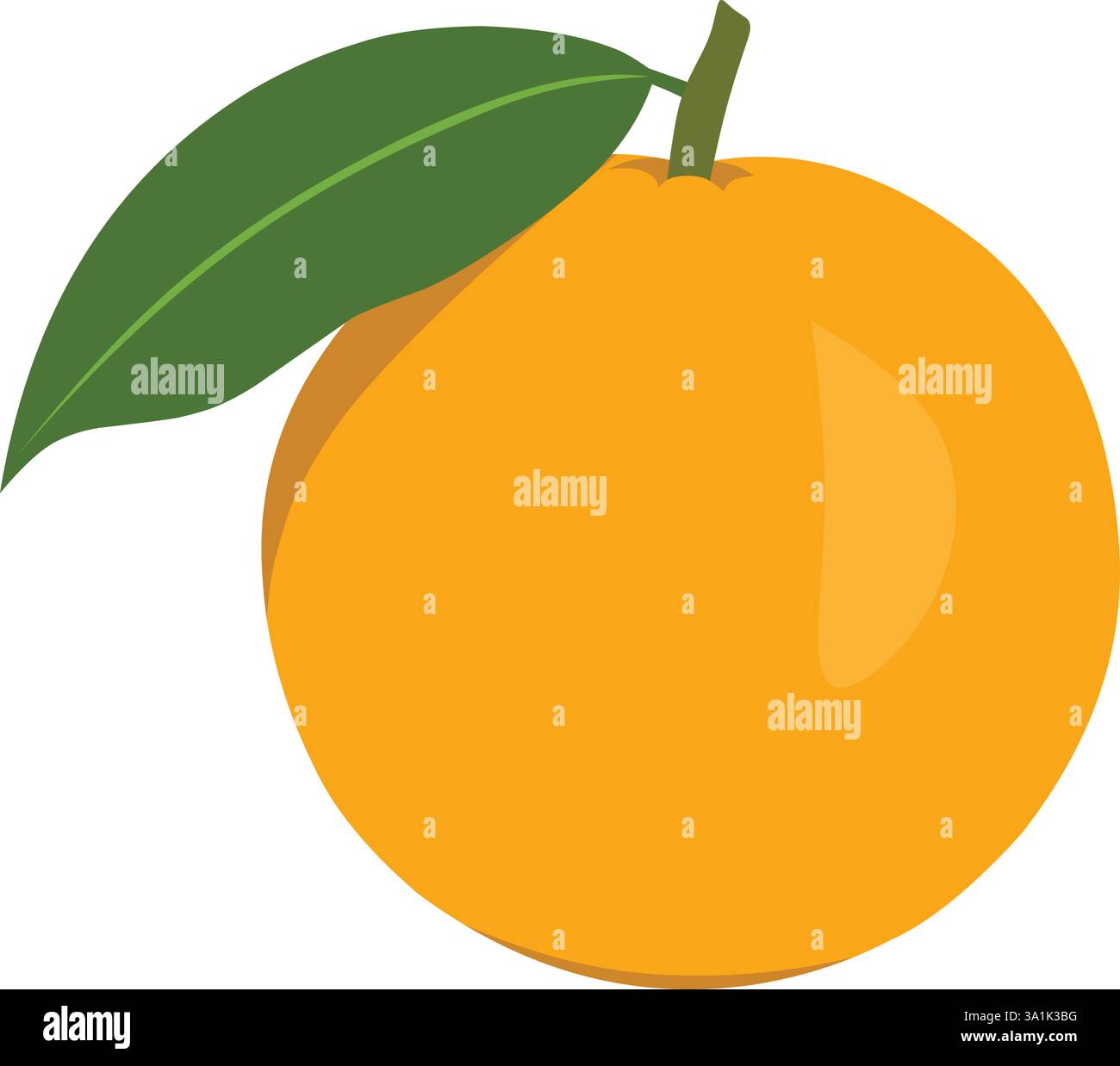 Orange with leaves isolated on white background Stock Vector