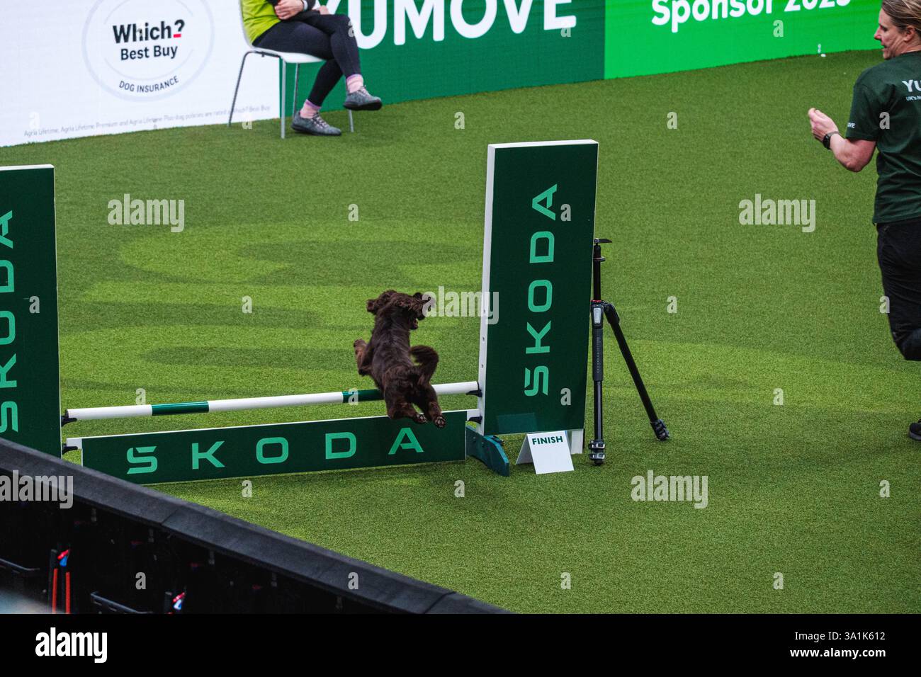 Crufts 2025 Agility Championships Small Medium Jumping crufts-2025-agility-championships-small-medium-jumping