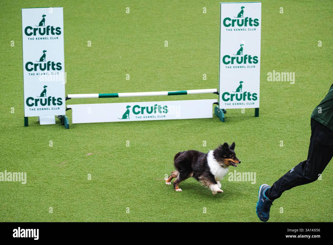 Birmingham UK 9th Mar 2025 Birmingham UK 9th Mar 2025 Crufts 2025 birmingham-uk-9th-mar-2025-birmingham-uk-9th-mar-2025-crufts-2025