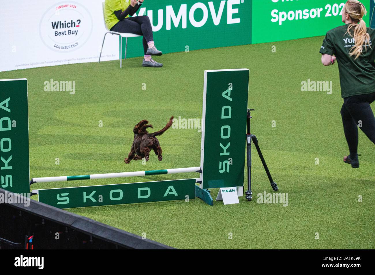 Crufts 2025 Agility Championships Small Medium Jumping crufts-2025-agility-championships-small-medium-jumping