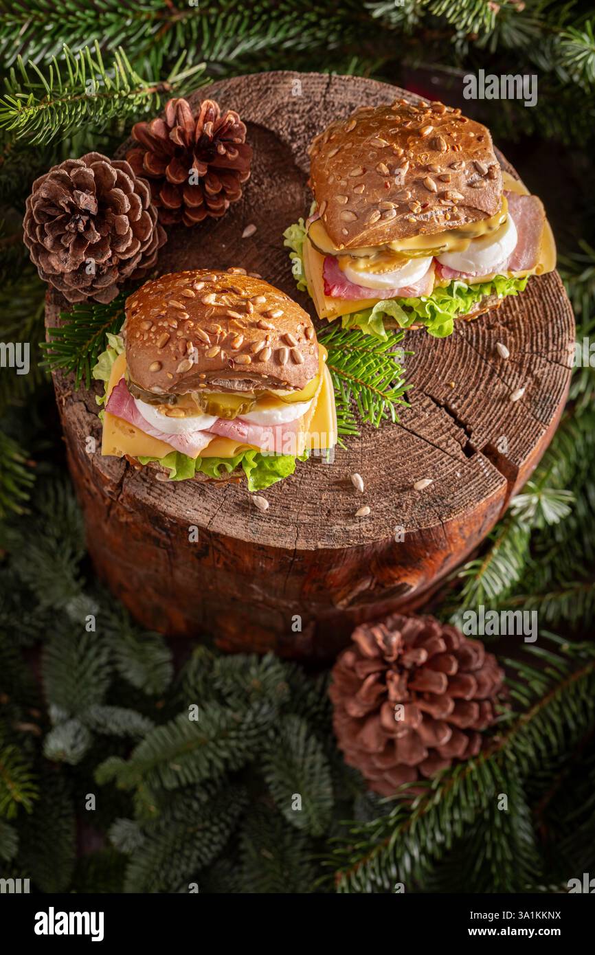A rustic, homemade sandwich with eggs, ham, and vegetables. A perfect ...