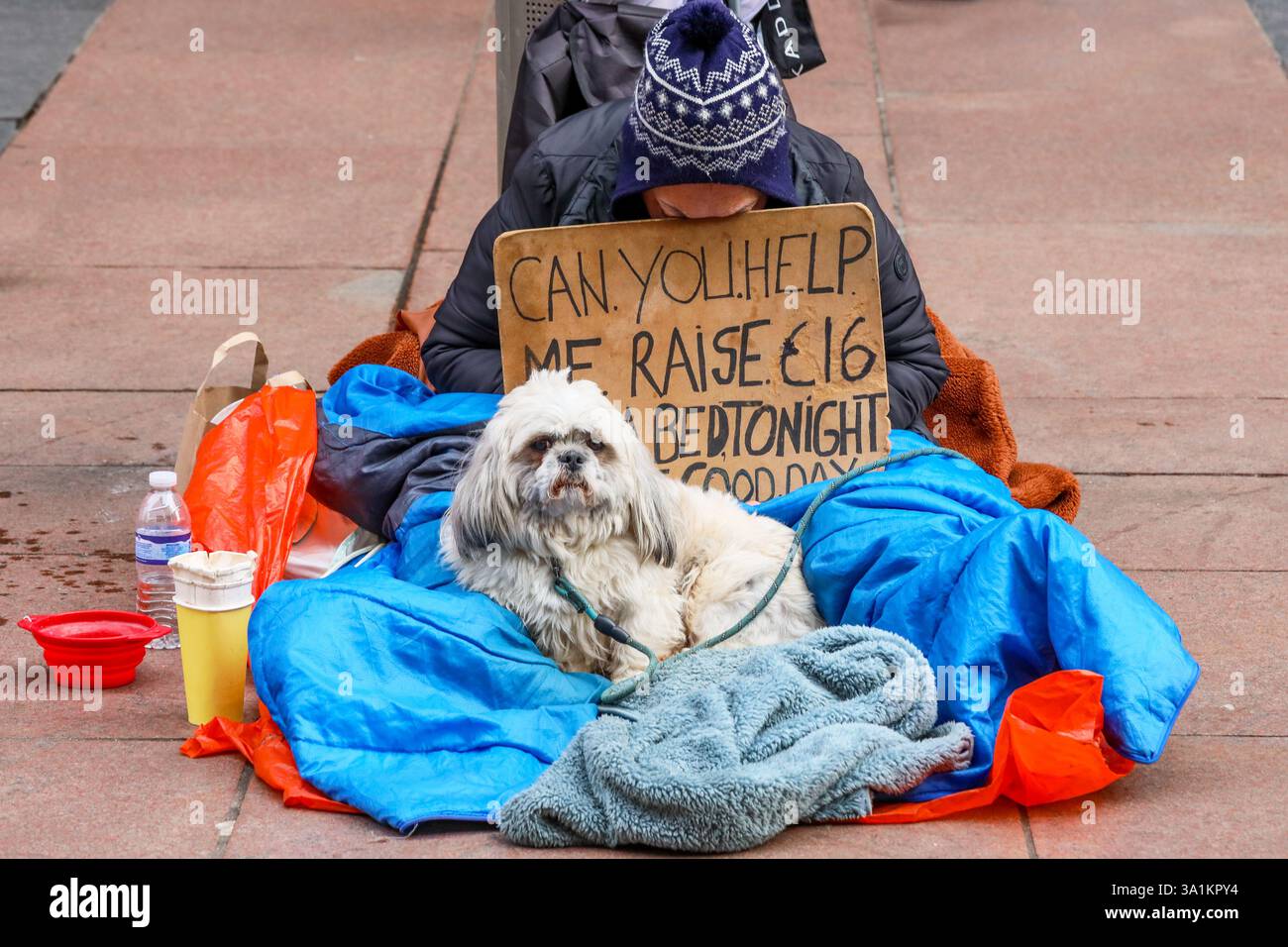 Detailed Homeless Woman's Dog Put Down Despite Public Offers To Pay Fees Capture Nature Detailed Homeless Woman's Dog Put Down Despite Public Offers To Pay Fees Capture Nature